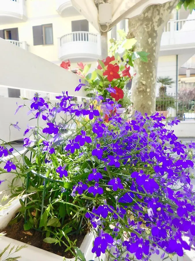 ***  Hotel Dolores Rimini Italië