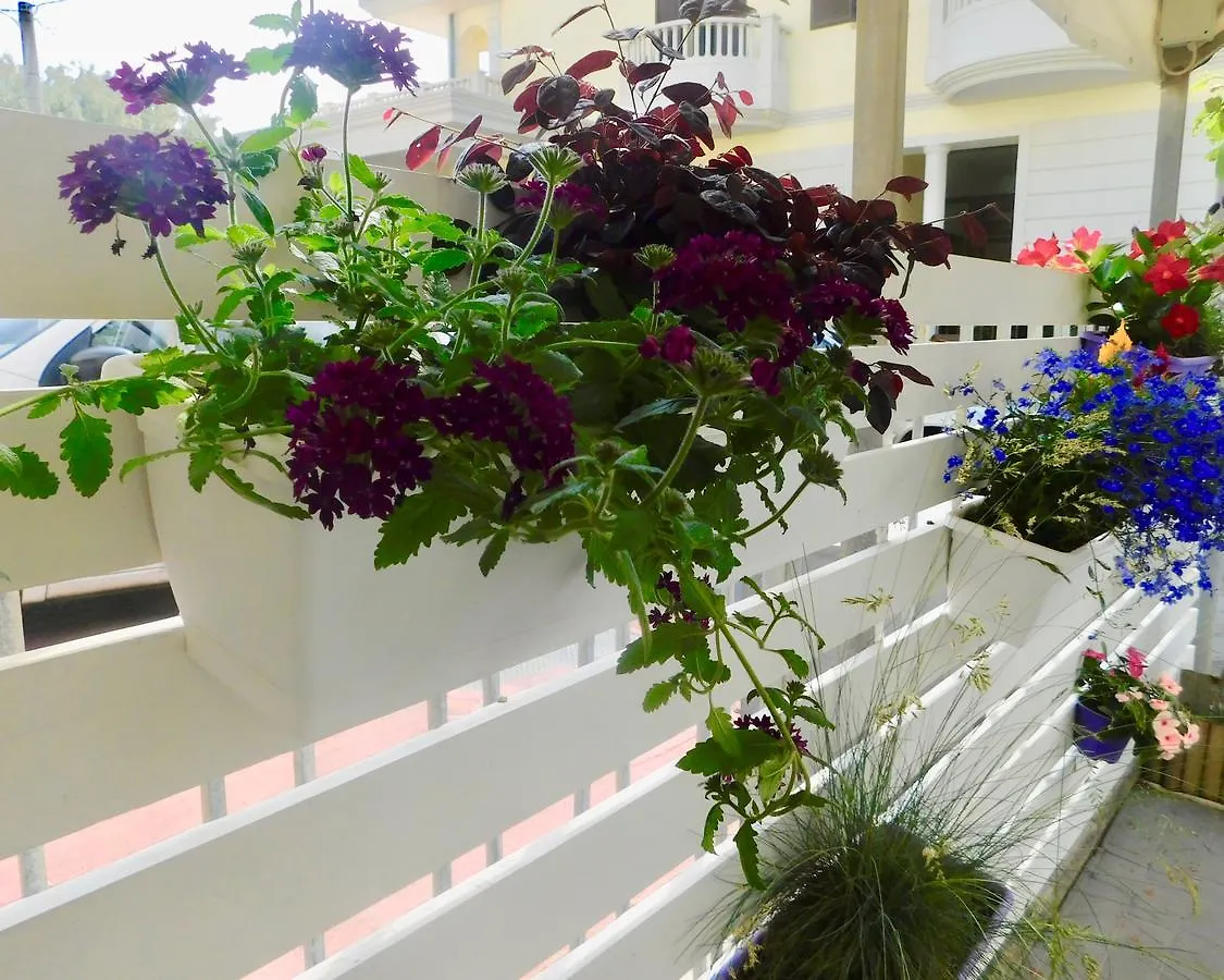Hotel Dolores Rimini
